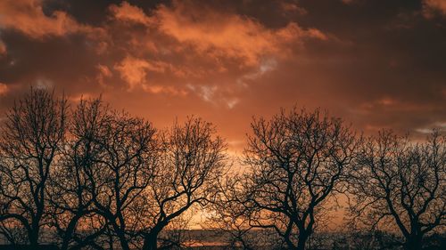 Silhouette bare trees against sky during sunset