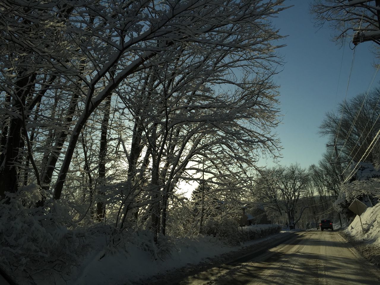 tree, bare tree, tranquility, nature, the way forward, tranquil scene, branch, winter, snow, beauty in nature, clear sky, scenics, season, growth, cold temperature, landscape, road, footpath, outdoors, sunlight