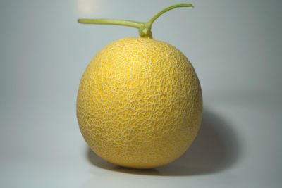 Close-up of orange fruit against white background