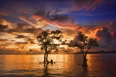 Scenic view of sea against cloudy sky at sunset