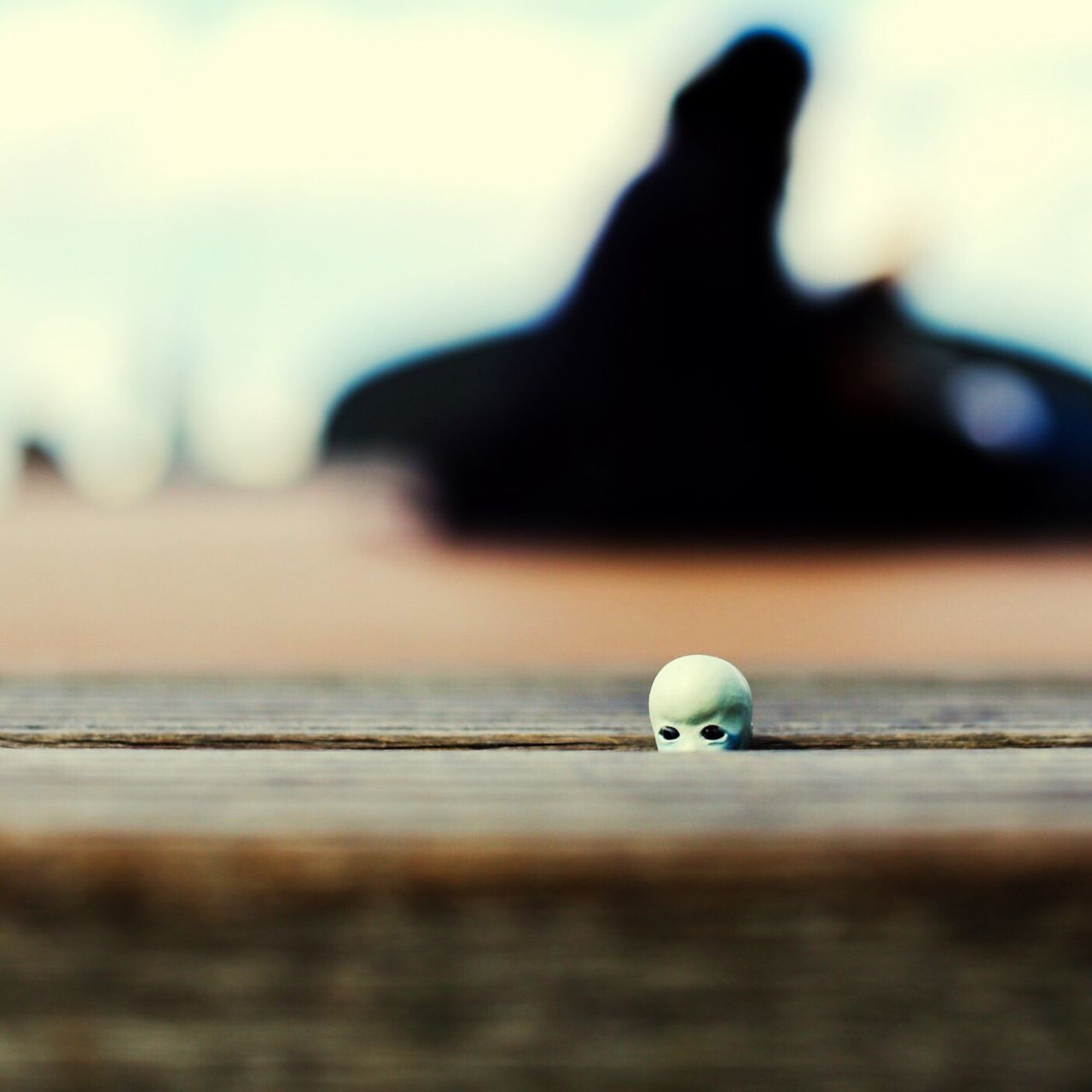 focus on foreground, water, selective focus, sea, close-up, bird, one animal, outdoors, nature, sky, beach, wildlife, surface level, animal themes, day, mid-air, ball, tranquility, beauty in nature, reflection