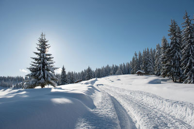 Snow covered land and trees against sky