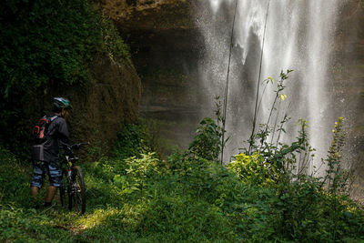 Rear view of person riding bicycle in forest