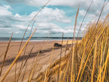 Scenic view of beach against sky