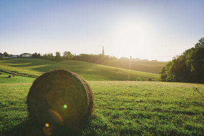 Scenic view of field against clear sky