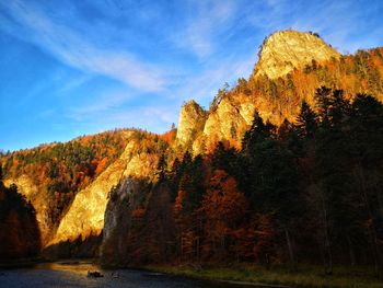 Trees by mountain against sky during autumn