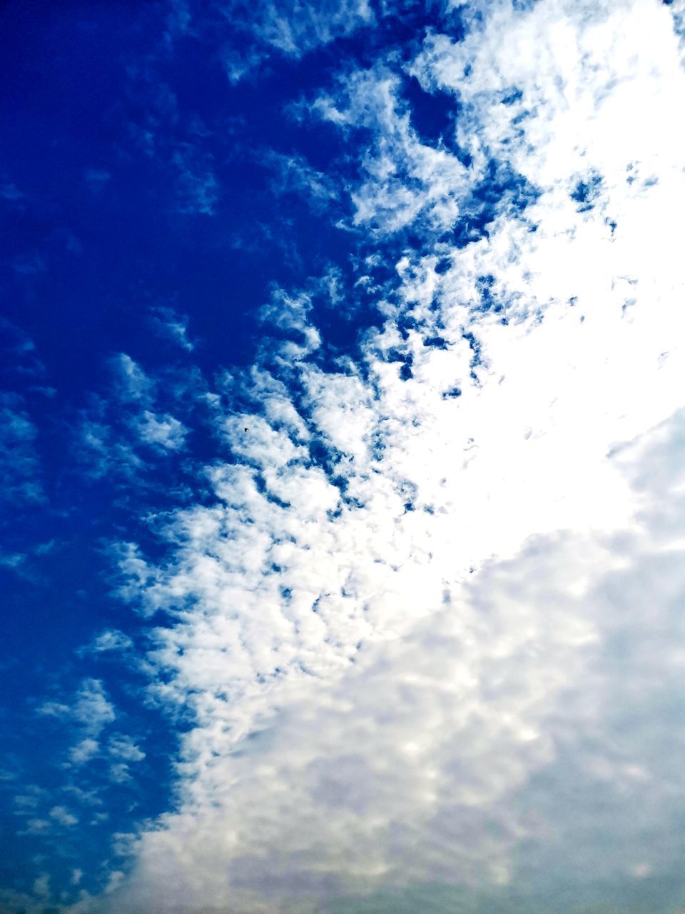 LOW ANGLE VIEW OF CLOUDY SKY