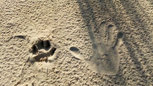 Close-up of footprints on sand at beach