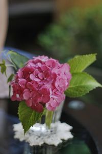 Close-up of flowers on table