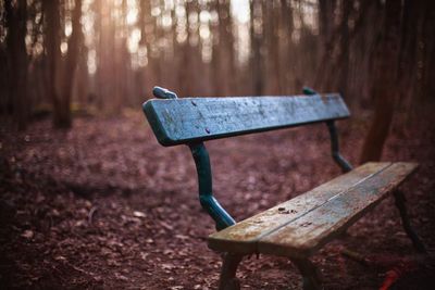 Close-up of wooden bench