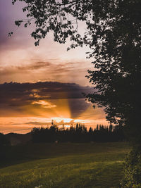 Silhouette trees on field against sky during sunset