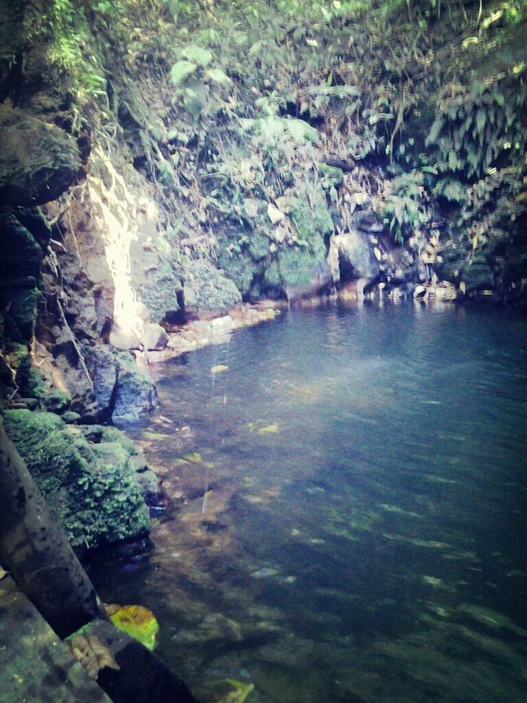 water, tranquility, beauty in nature, tranquil scene, scenics, nature, reflection, rock - object, river, lake, tree, waterfront, stream, idyllic, day, growth, forest, outdoors, non-urban scene, high angle view