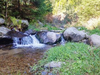 Stream flowing through rocks in forest