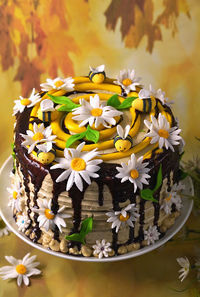 Close-up of white daisy flowers
