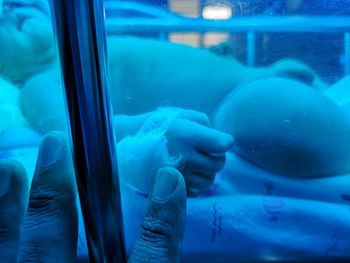 Close-up of person in sea seen through glass window