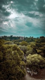 Plants and trees by building against sky