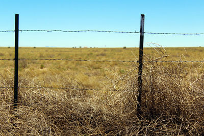 Close-up of barbed wire on field against clear sky