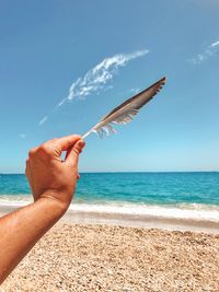 Cropped hand of man holding leaf at beach against blue sky