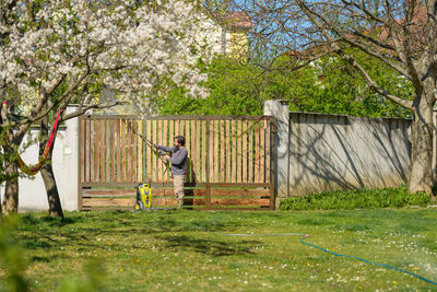 Man standing by flower tree in park