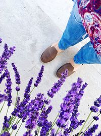 Low section of person on purple flower