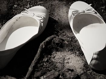 Low section of bare trees against the sky