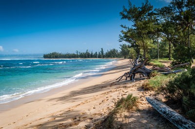 Scenic view of sea against blue sky