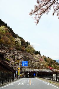 Road by trees against sky