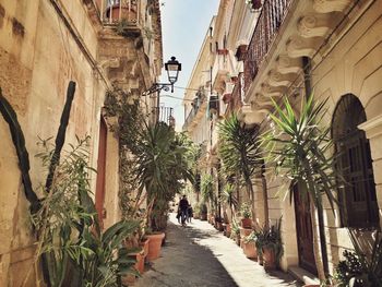 Narrow alley along buildings