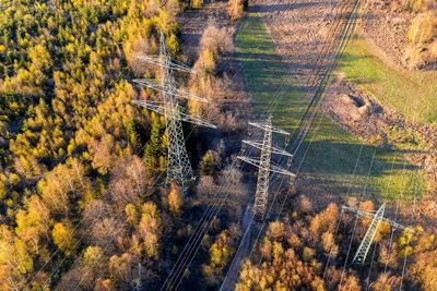 High angle view of trees by road in forest