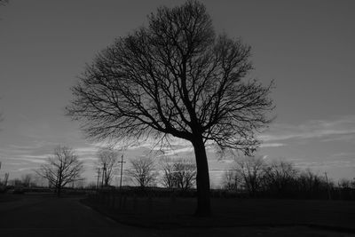 Silhouette bare tree by road against sky