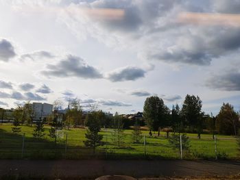 Trees on field against sky