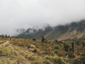 Scenic view of field against sky, mount kenya national park, kenya 