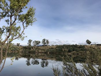 Reflection of trees in lake against sky