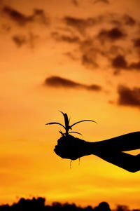Close-up of silhouette plant against orange sky