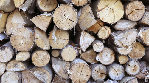 Firewood chopped and stacked, firewood background