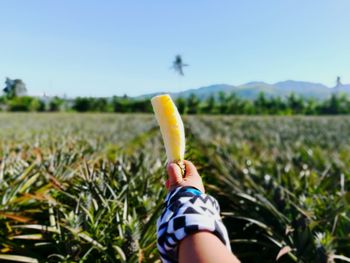 Close-up of hand on field against blue sky