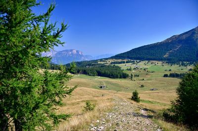 Scenic view of landscape against clear blue sky