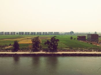 Scenic view of agricultural field against clear sky