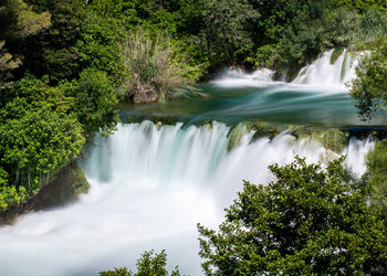 Scenic view of waterfall in forest