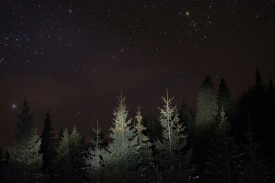 Low angle view of star field against star field