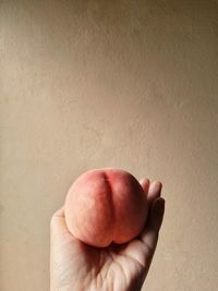 Close-up of hand holding apple