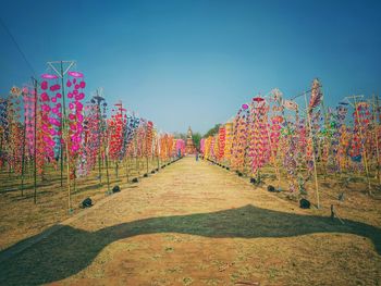 Footpath amidst plants against sky