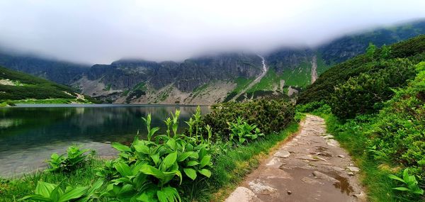 Scenic view of green landscape against sky