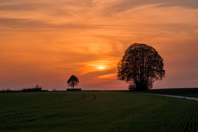 Scenic view of agricultural field against sky during sunset