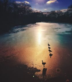 Scenic view of sea at sunset