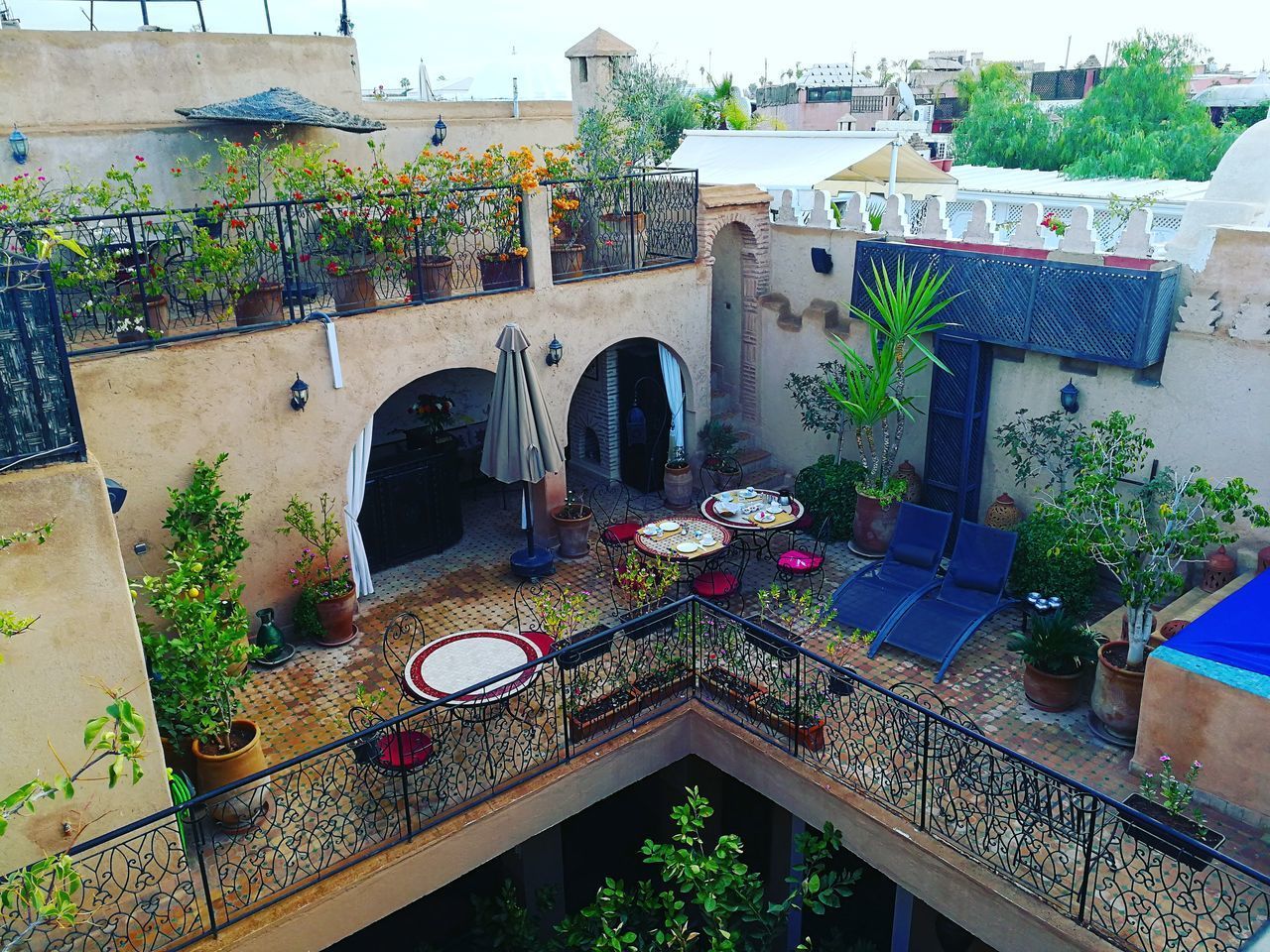 HIGH ANGLE VIEW OF POTTED PLANTS BY SWIMMING POOL AGAINST BUILDING