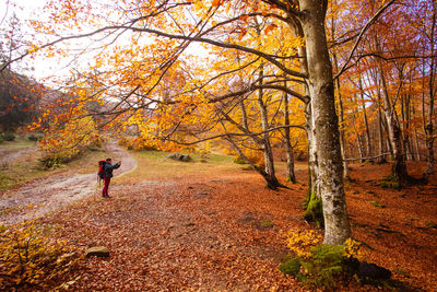 Man walking by trees in forest during autumn