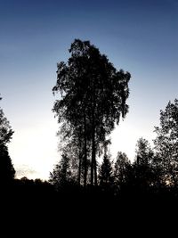 Low angle view of silhouette trees against clear sky