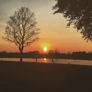 Silhouette tree by sea against sky during sunset