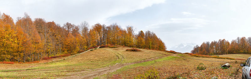 Scenic view of road amidst trees against sky during autumn